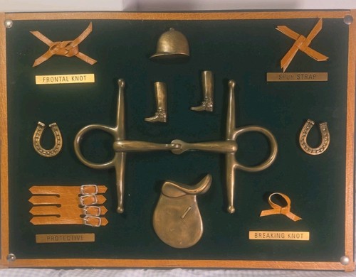 Dezine equestrian horse tack - equestrian,