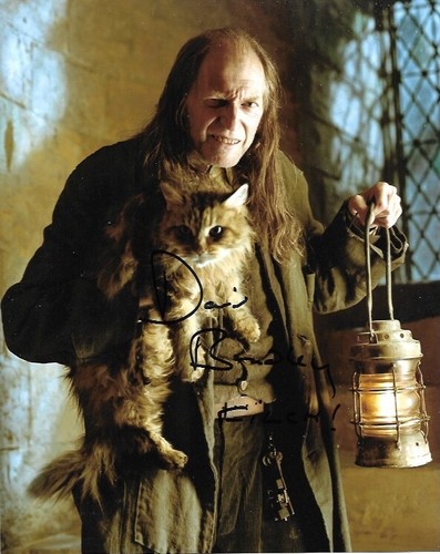 Harry potter david bradley - harry,