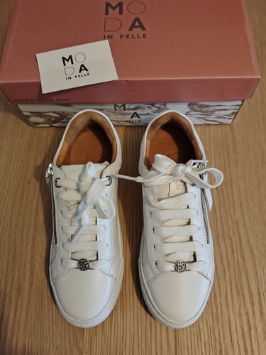 New box moda - moda, in
