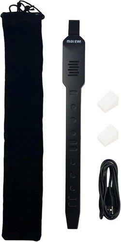 Digital wind instrument - wind,