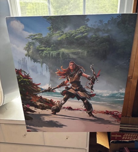 Horizon forbidden west - horizon,