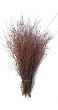 Birch/Twigs/Branches/Trees/Dec