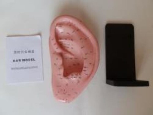 Acupoint auricular ear model - acupoint,