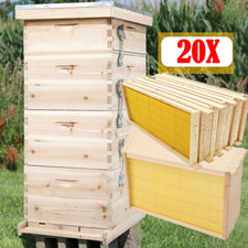 4tier langstroth beehive - 4tier,