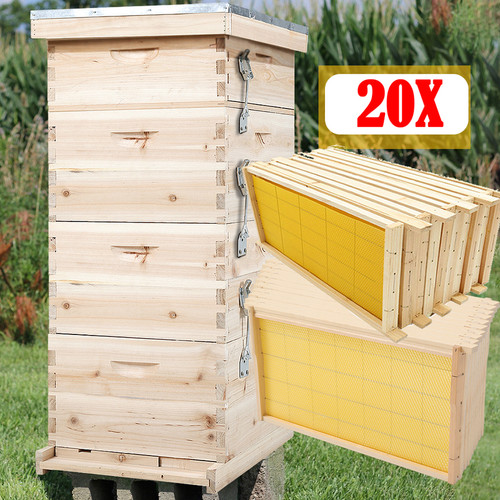 4tier langstroth beehive box - 4tier,