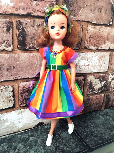 Skater dress for pedigree - dress,