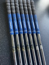 Dynamic Gold S300 iron shafts