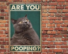 Are You Pooping Cat Metal