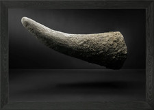 Rhinoceros horn floating