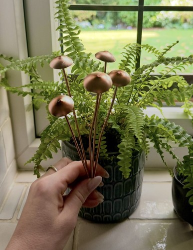 Bronze metal mushrooms garden - metal,