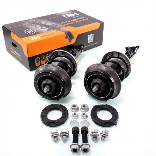 Complete struts assembly - struts,