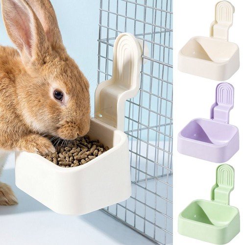 For puppy cats - for, rabbit
