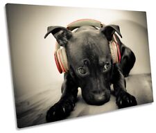 Staffy Bull Terrier Headphones Picture CANVAS WALL ART Print Black