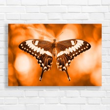 Unlocking The Mystery