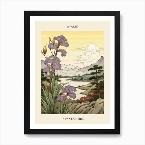 Ayame japanese iris - ayame,