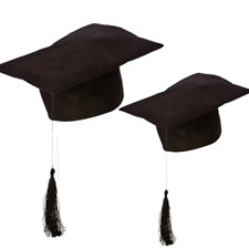 Mortar Felt Board Hat Adults