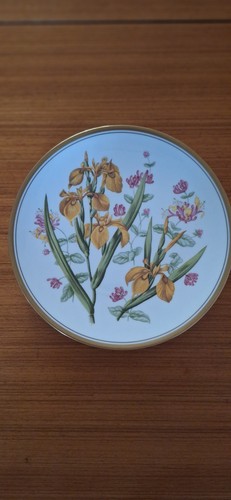 Spode garden flowers iris - no.2,