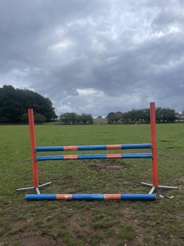 Horse jump wings 3 poles - 3,