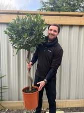 4ft / 5ft Spiral Stem Standard