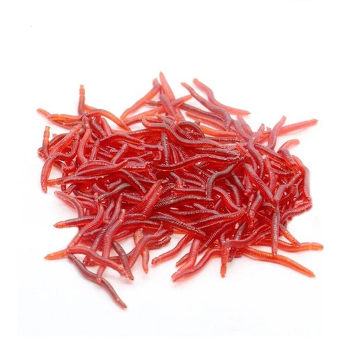 100pcs soft red earthworm - red,