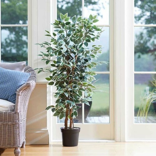 Faux fake weeping fig - faux,