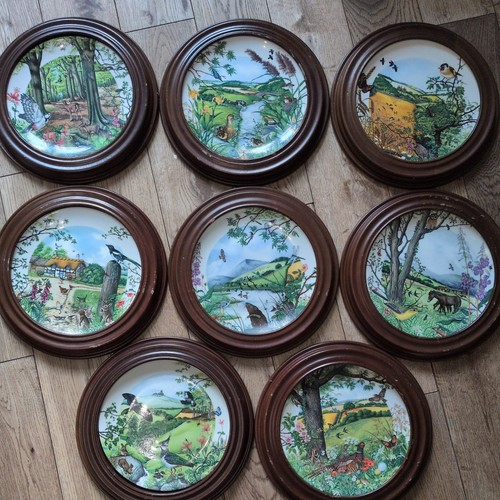 Wedgwood colin newman - wedgwood,