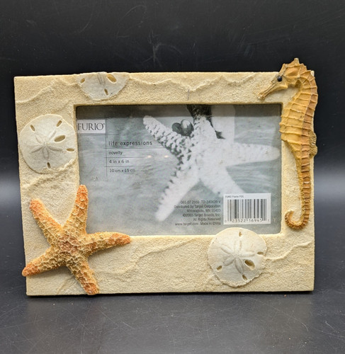Sea horse and sand dollar - sea,