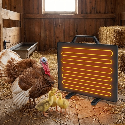Adjustable temperature chicken - adjustable,