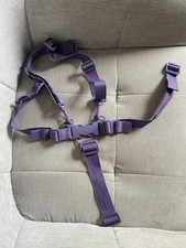 iCandy Peach/ Jogger/