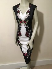 Ted Baker Darnet dress size 2 NWT