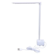 Large Water Flows Parrots