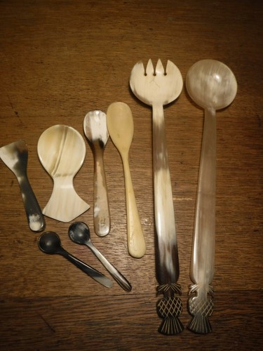 Natural bone and horn spoon - 8,