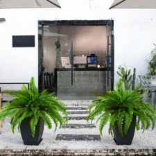 2Pcs  Artificial Plants Fake Boston Fern Greenery Outdoor UV No Fade Faux