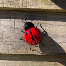 'Small Metal Ladybird' Garden