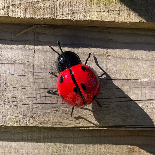 Small metal ladybird garden - small,