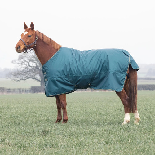 Shires typhoon 200g std neck - typhoon,