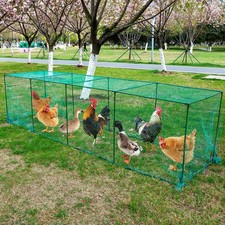 UNIFAMILY Large Chicken