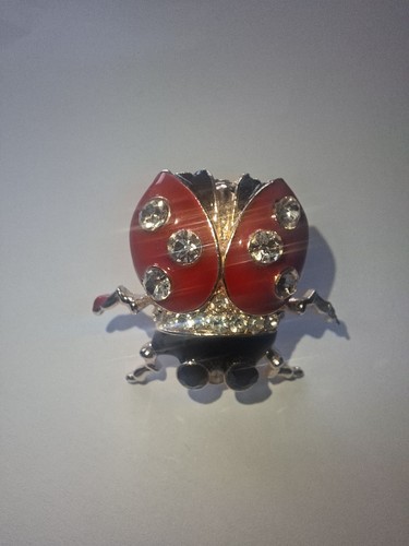 Decorative ladybird women - ladybird, women's