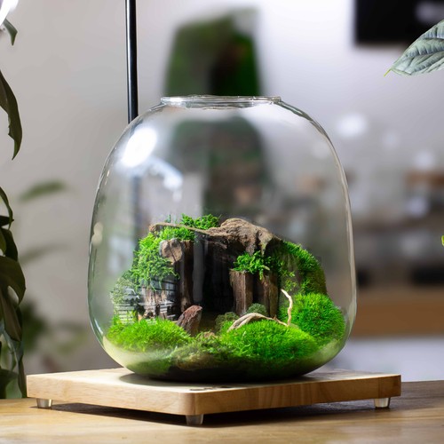 Cave terrarium zero - cave,