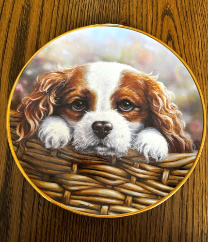 Danbury mint take home - mint, me