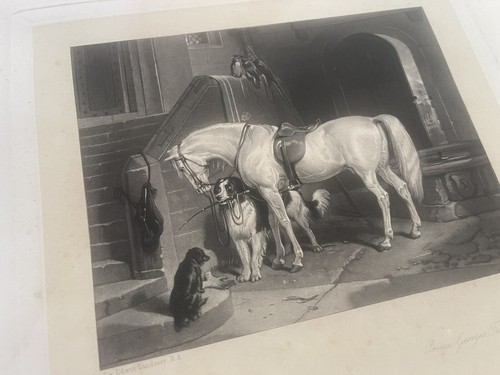 Lithograph pub 1884 - lithograph, pub.1884