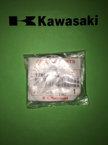 Kawasaki z 125 - ex, 250