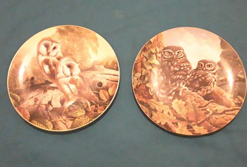 Royal doulton british owls - doulton,