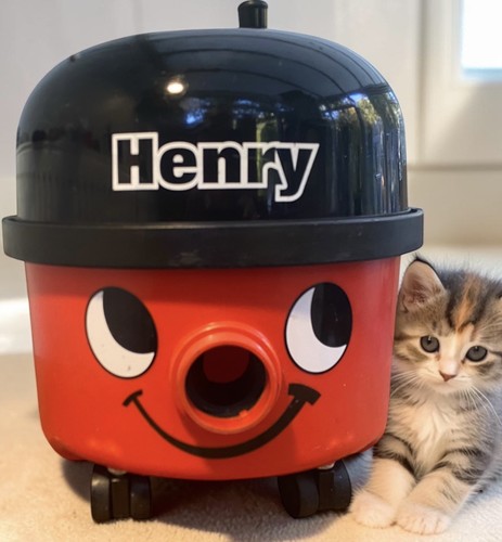 Henry vac serviced - vac, 1100w