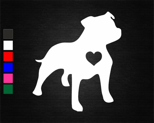Staffordshire bull terrier - staffordshire, dog