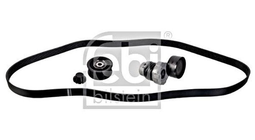 Ribbed belt set febi - set,