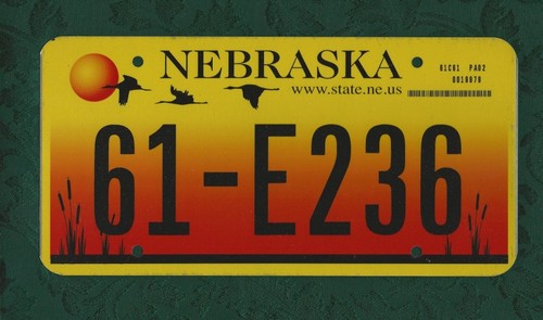 E236 nebraska sandhill - 61-e236,