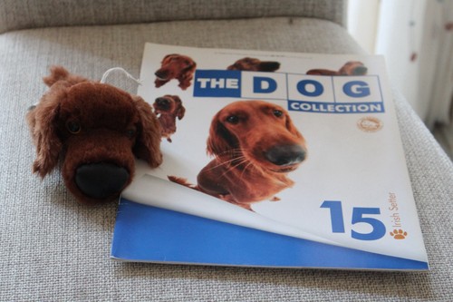 Irish setter magazine - no., &