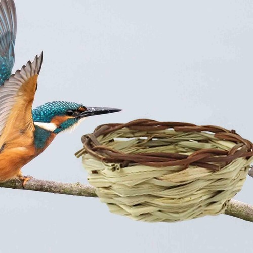 Round bird nest cage - bird,