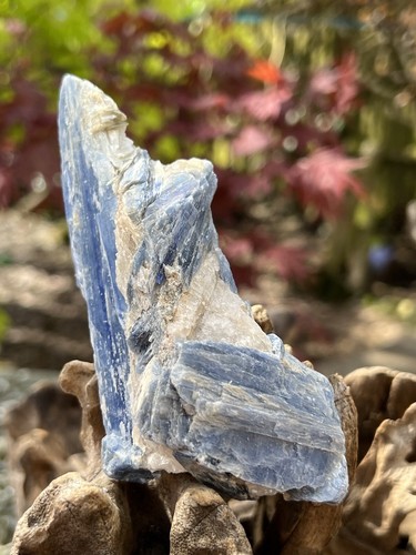 Blue kyanite bladed - blue, crystal